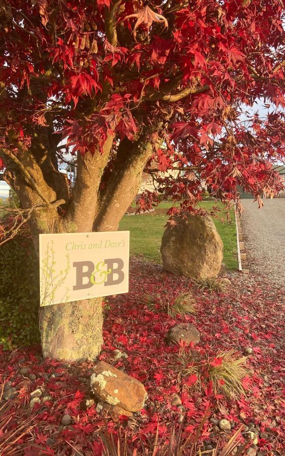 Chris And Dave'S B & B Otorohanga Buitenkant foto
